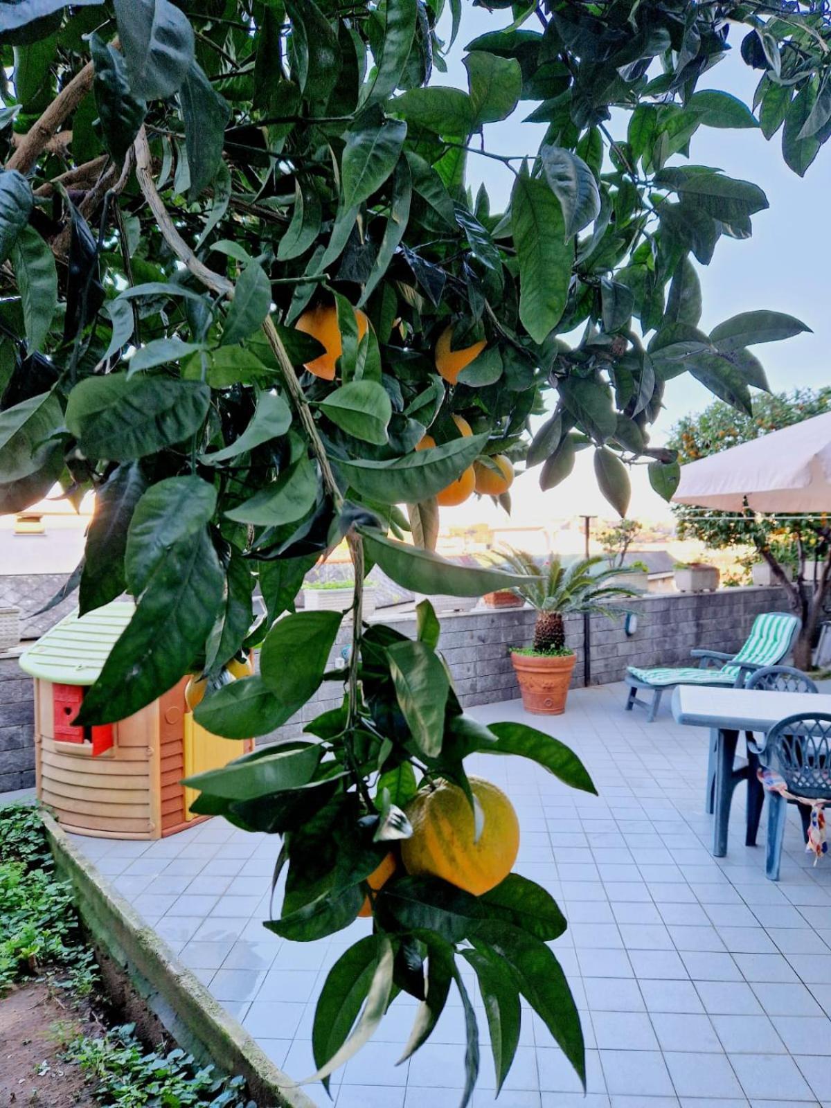 Fuga A Napoli Apartment Dış mekan fotoğraf