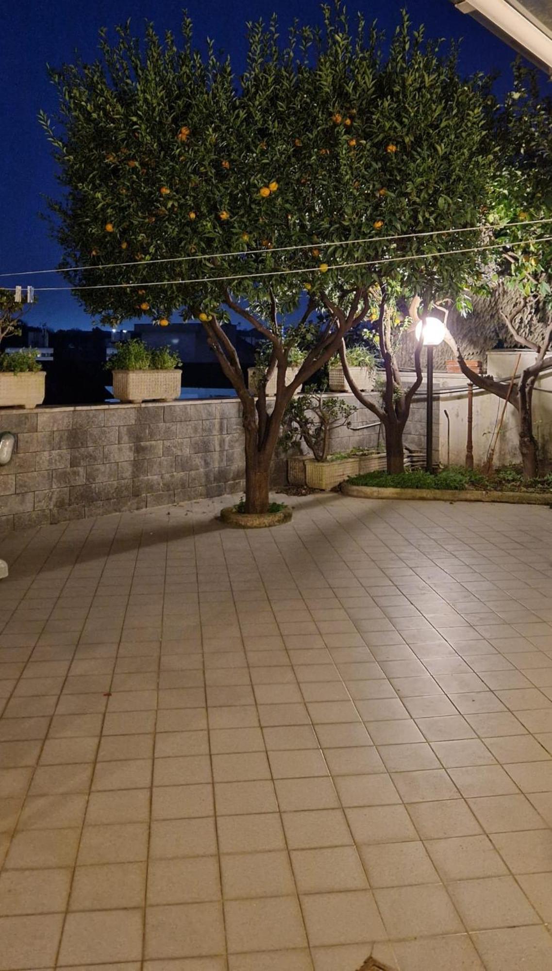 Fuga A Napoli Apartment Dış mekan fotoğraf